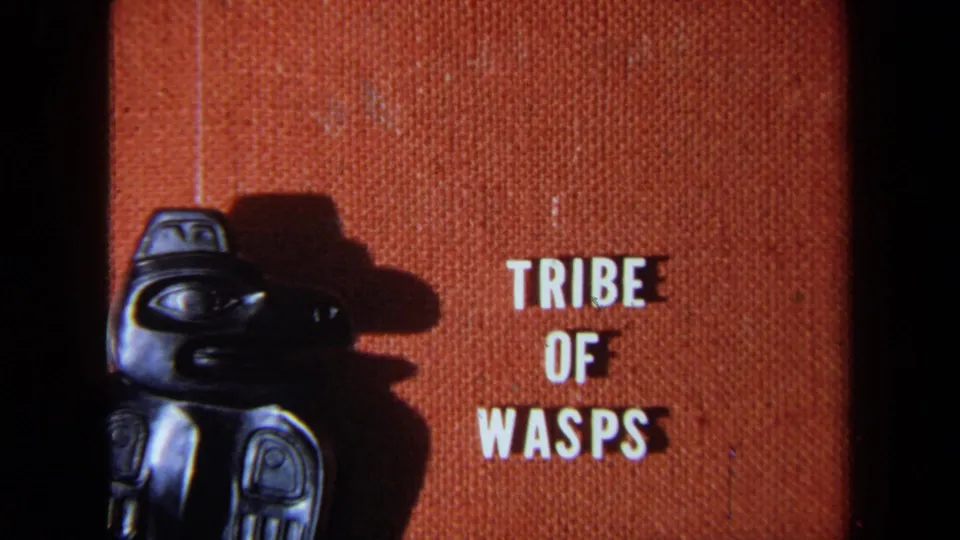 1971 California 8mm title card reading “TRIBE OF WASPS,” with a black carved or totem-like figure on orange fabric.