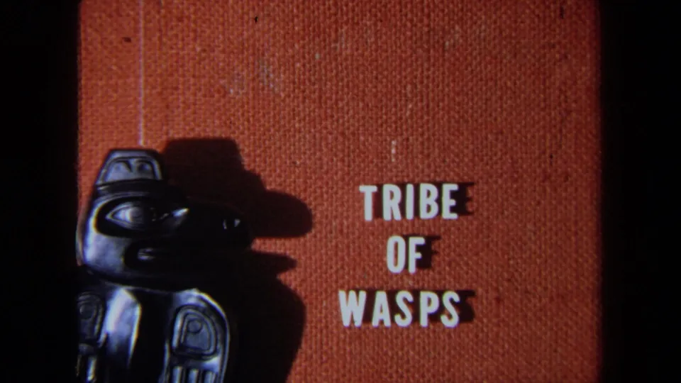 Second 1971 California 8mm frame of the “TRIBE OF WASPS” title card, with orange fabric, white text, and a dark figure.