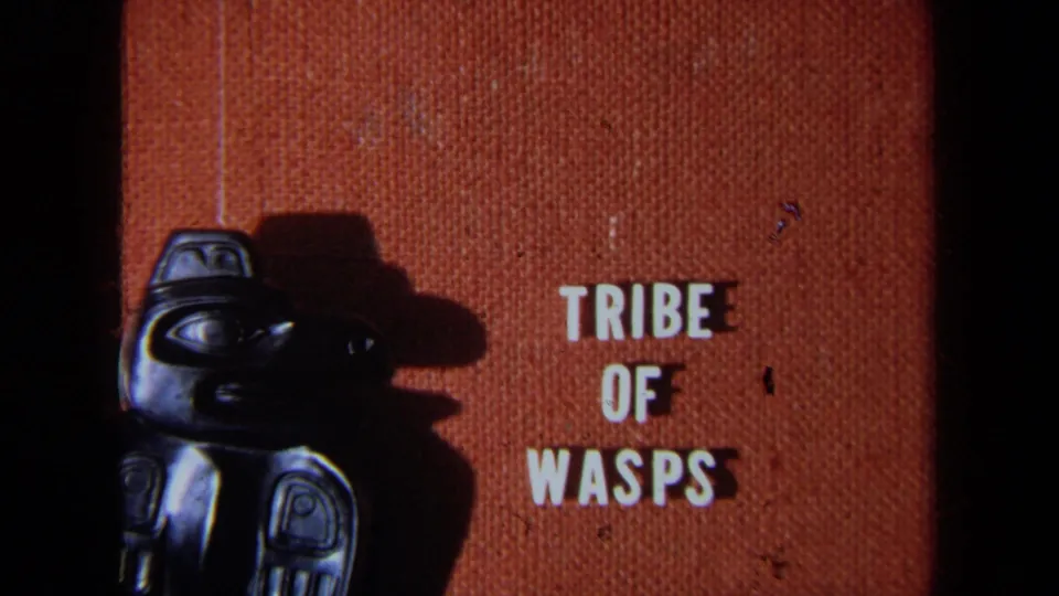 1971 California 8mm frame showing the “TRIBE OF WASPS” card lower in view, with the black figure cropped at the bottom left.