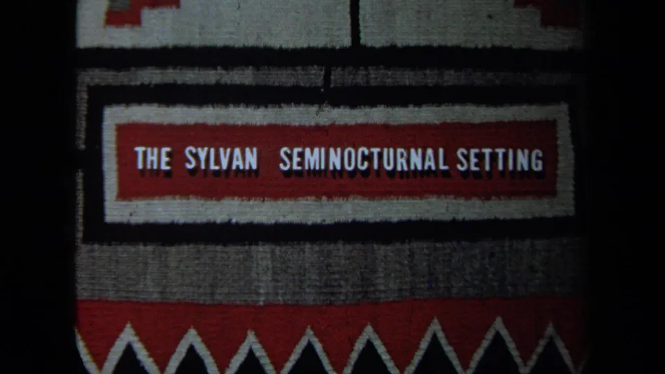 Slightly darker 8mm frame of the same California-era woven sign, with the red text band and triangular border visible.