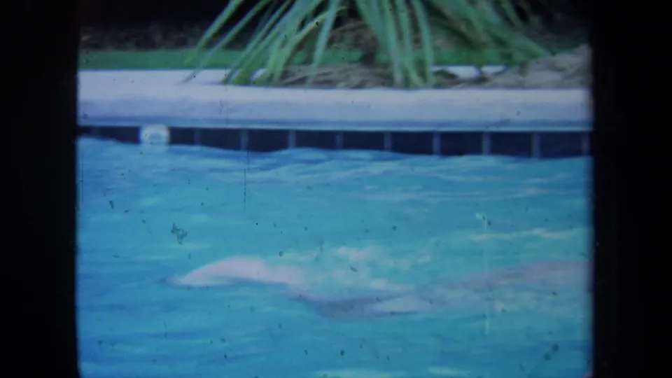 1971 California 8mm frame showing the swimmer low in the water near the edge of a backyard pool, with plants above the coping.