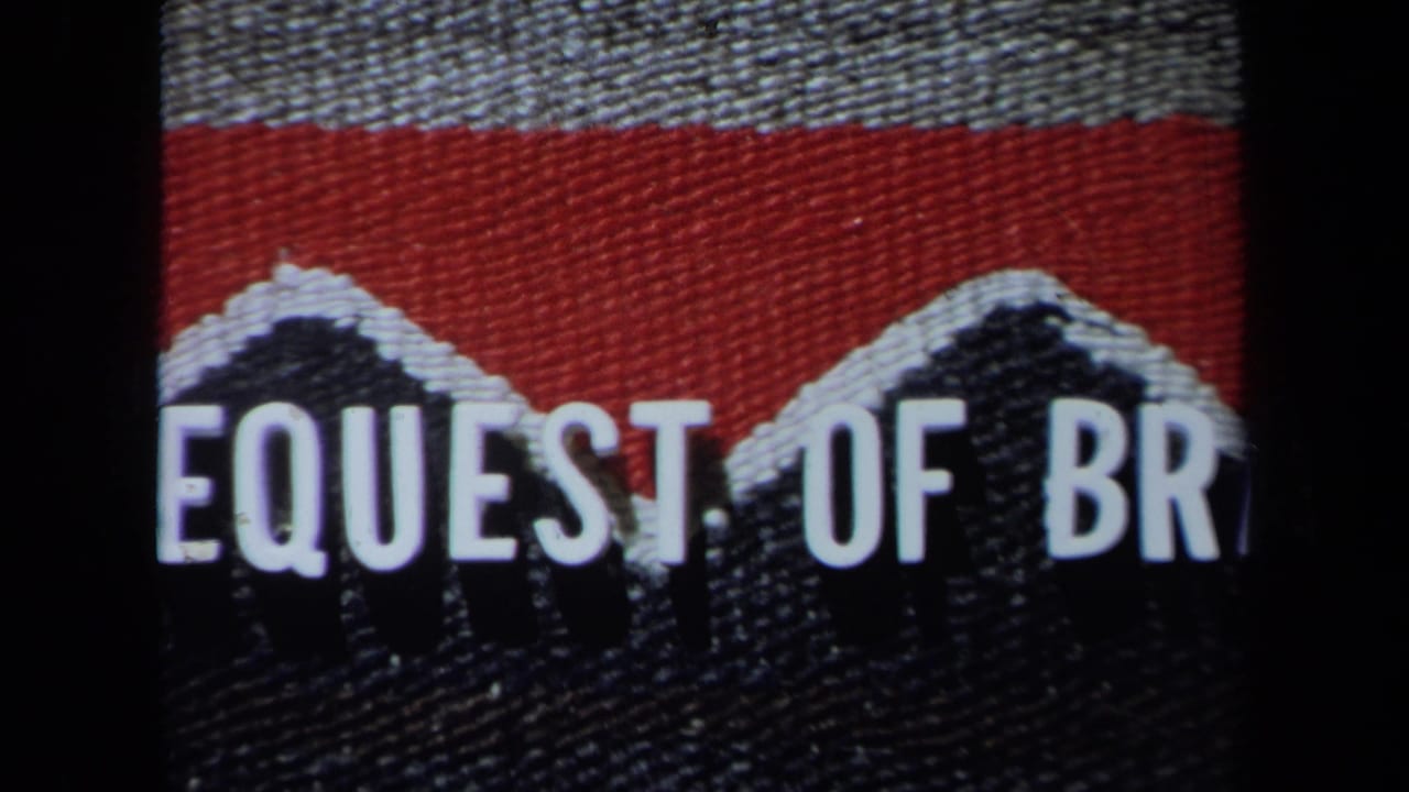 Close 8mm frame of a partial fabric logo or graphic with white lettering over red, gray, and black bands.