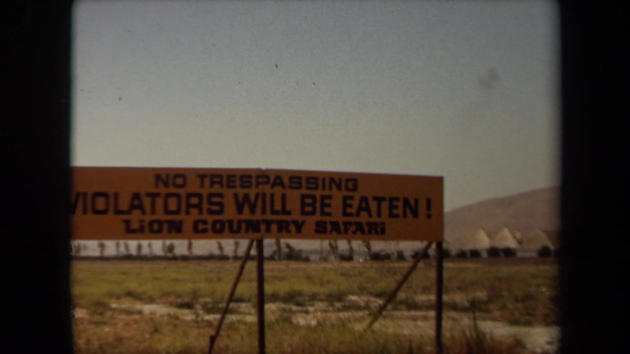 Orange Lion Country Safari warning sign in a dry open landscape.