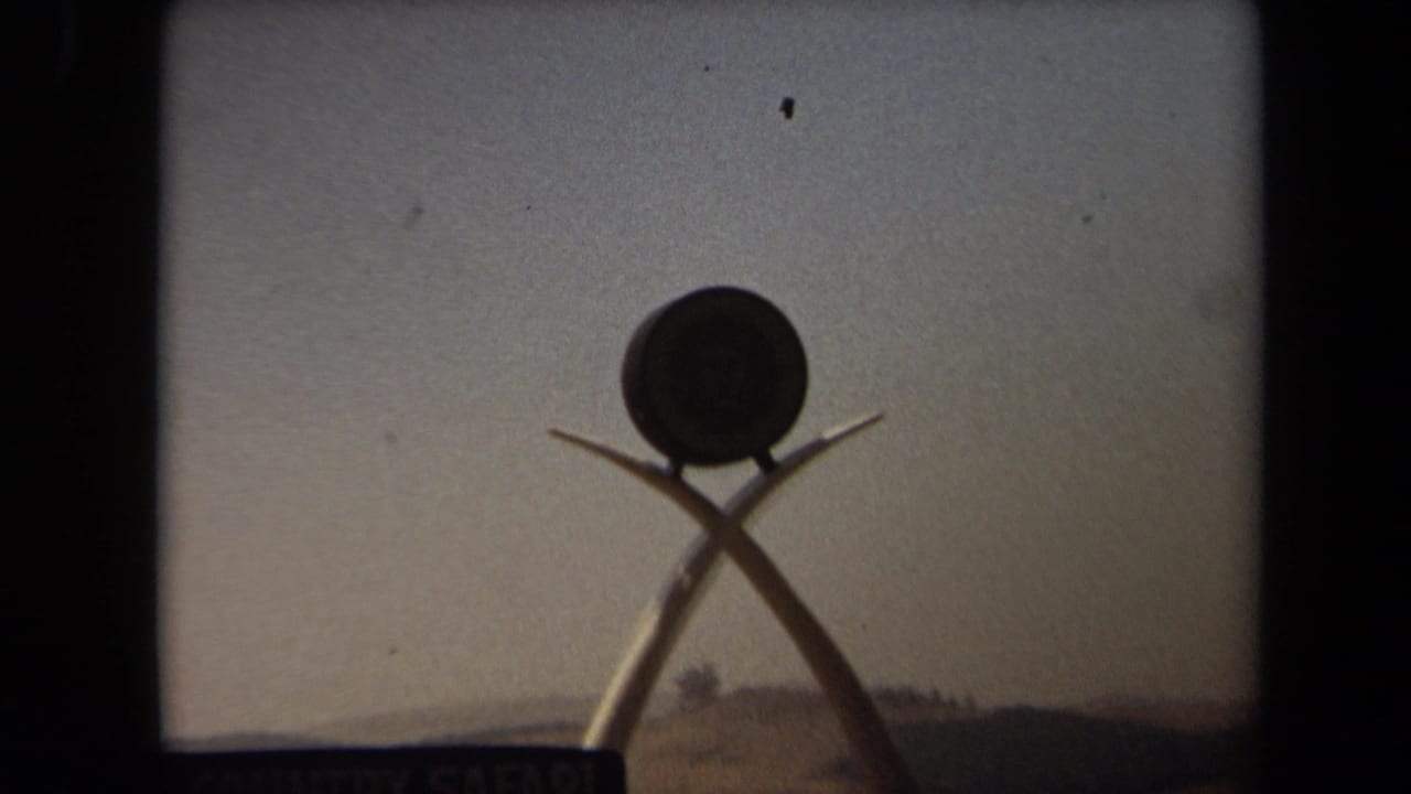 Circular sign emblem on crossed supports silhouetted against pale sky.