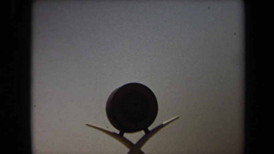 Close 8mm view of the Laguna Hills safari entrance emblem, with crossed supports and little surrounding detail visible.