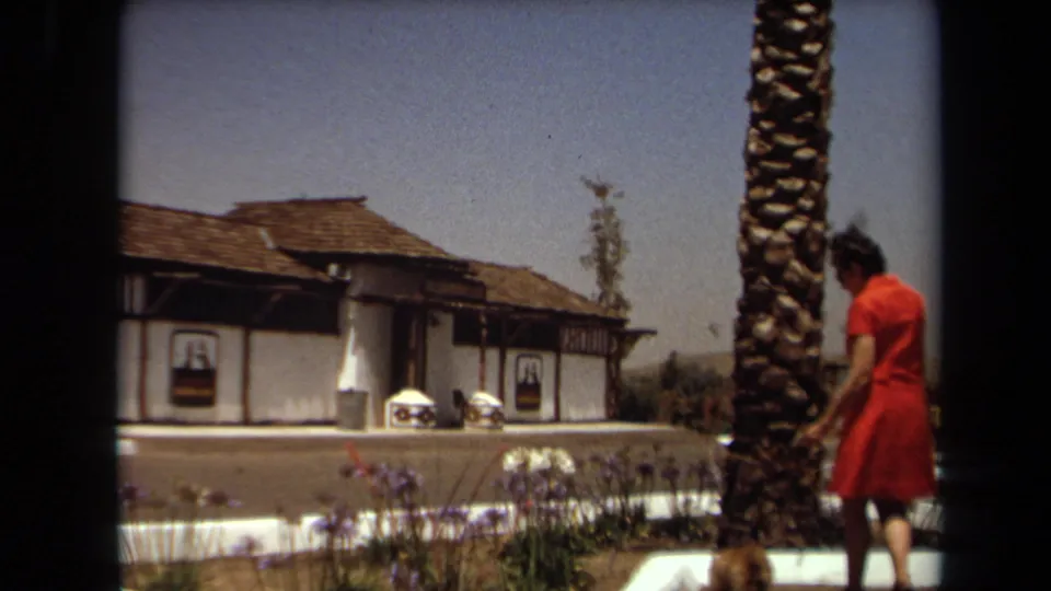 In Laguna Hills, California, a woman in a red dress stands or walks near a palm tree with the Kal-Kan Kennel Club building behind her.