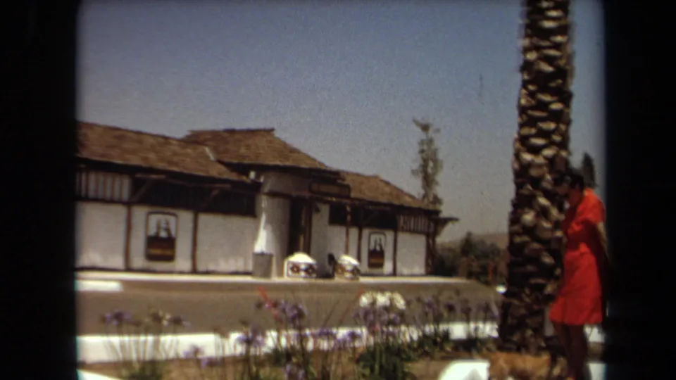 Laguna Hills 1971 8mm frame with the woman in red and her dog partly hidden by a palm trunk in front of the Kal-Kan Kennel Club building.