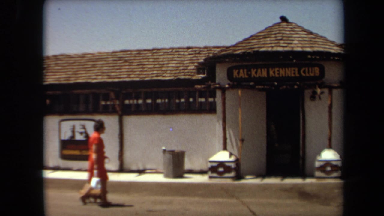 In Laguna Hills, California, a woman in a red dress walks along a sidewalk toward the Kal-Kan Kennel Club entrance in 1971.