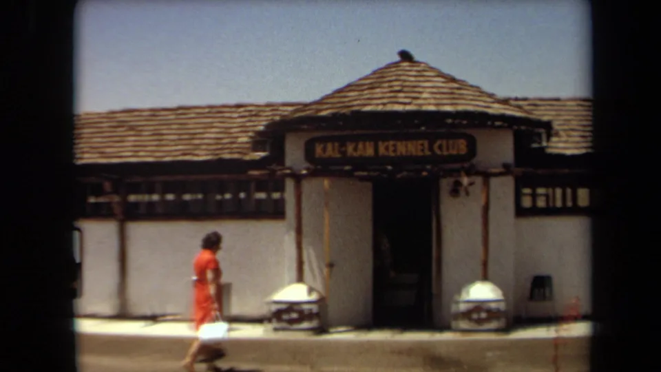 The woman in red moves closer to the Kal-Kan Kennel Club entrance, with dog-house decorations beside the doorway.