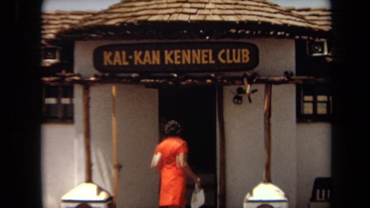 In 1971 Laguna Hills footage, a woman in a red dress approaches the Kal-Kan Kennel Club doorway beneath a visible sign.