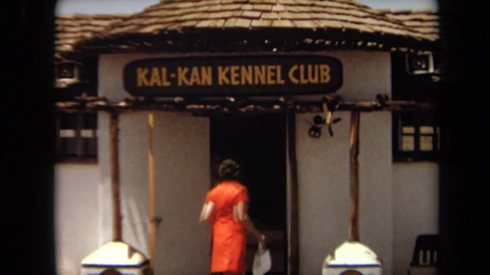 In 1971 Laguna Hills footage, a woman in a red dress approaches the Kal-Kan Kennel Club doorway beneath a visible sign.