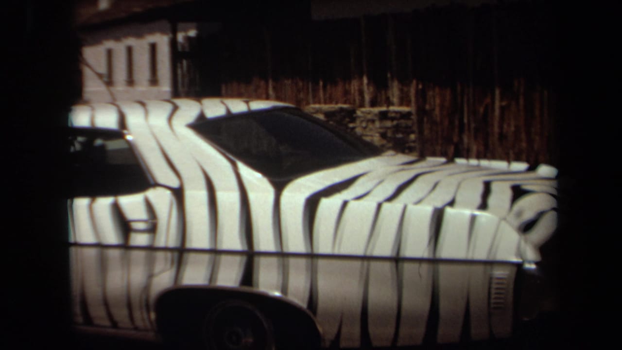 Close view of a white car painted with black zebra stripes beside a rustic fence.
