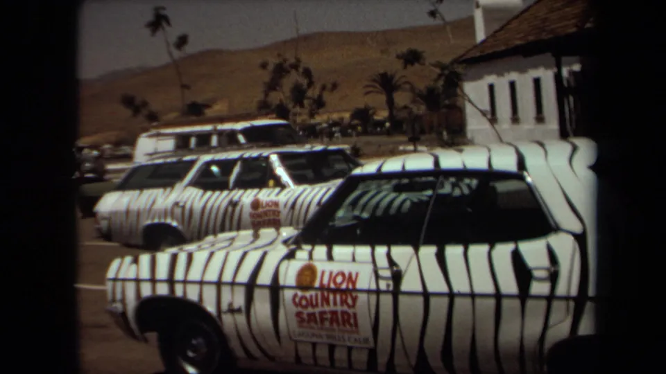 Two marked Lion Country Safari cars are shown in a 1971 Laguna Hills parking area, with palm trees, dry hills, and a building nearby.