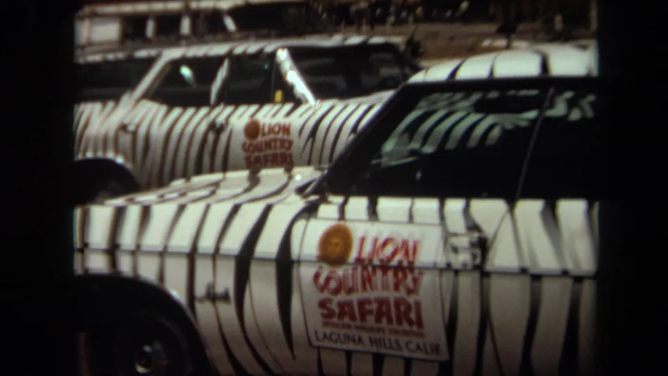 1971 Laguna Hills 8mm frame showing zebra-striped Lion Country Safari vehicles with visible door decals.