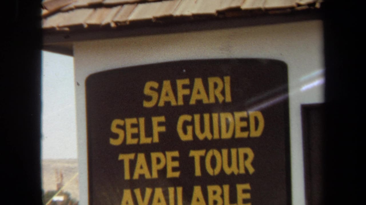 1971 Laguna Hills home-movie frame showing a self-guided safari tape tour sign and a distant zebra-striped jeep beyond dark vehicle-window edges.
