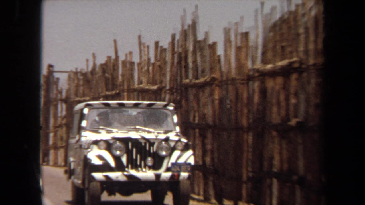 A zebra-painted jeep drives toward the camera in the Laguna Hills safari enclosure, framed by dark vehicle-window edges and rough pole fencing.