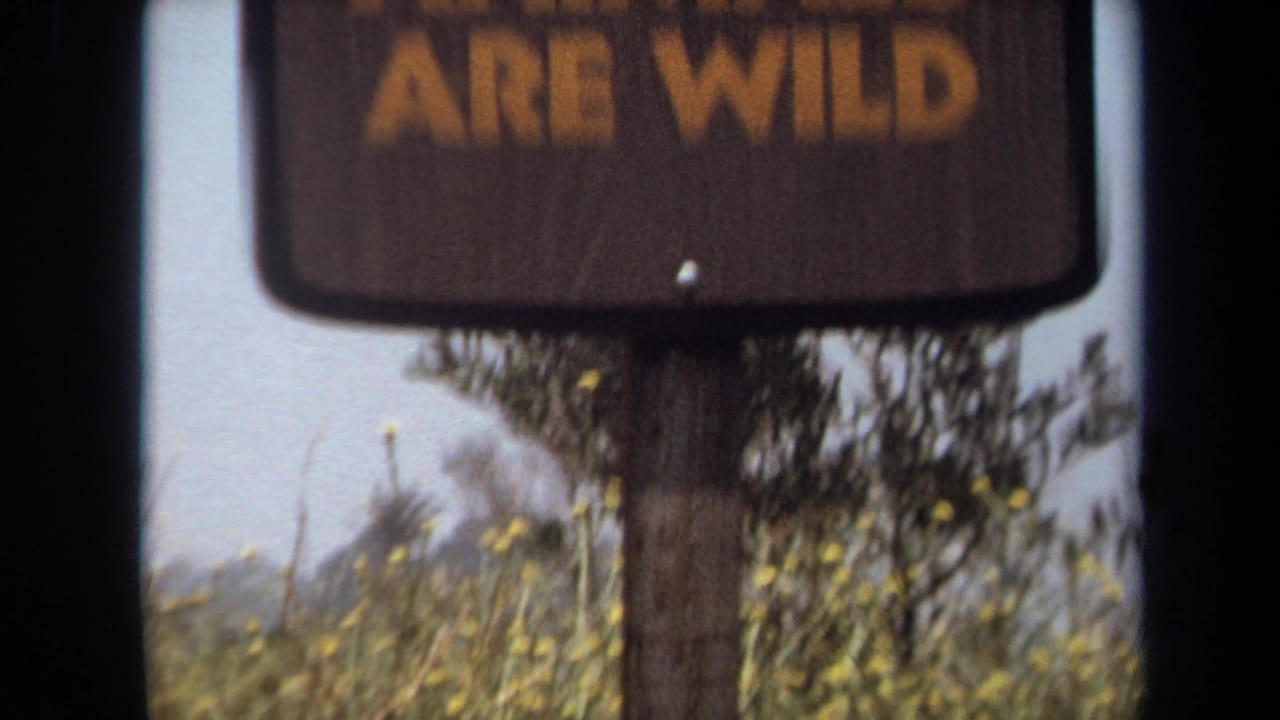 Wooden warning sign with the words ARE WILD above roadside brush.