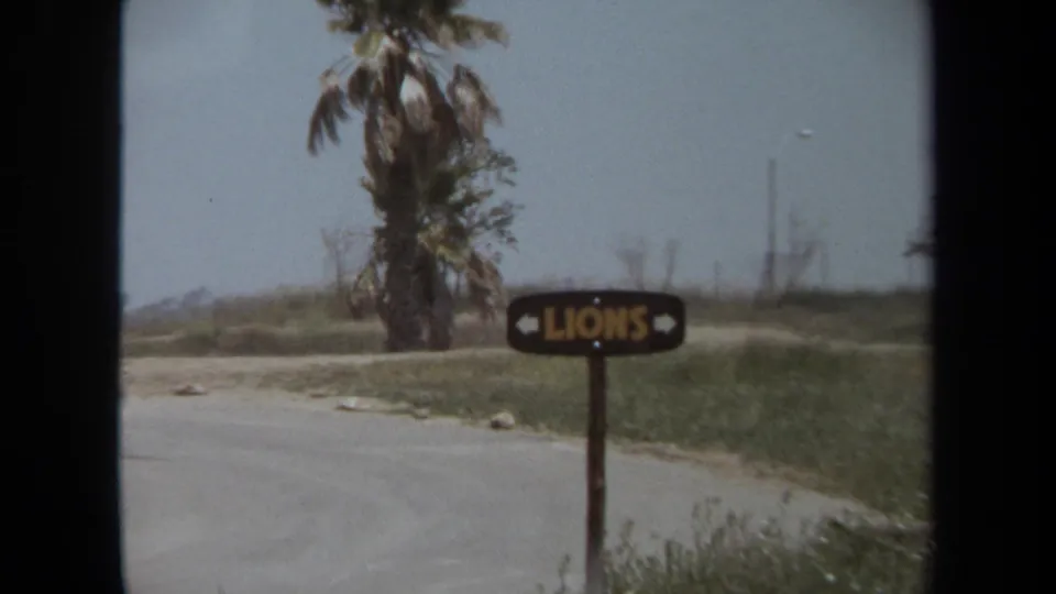 Laguna Hills safari park roadway in 1971 with a close view of the LIONS sign, palm trees, dry grass, and distant low hills.