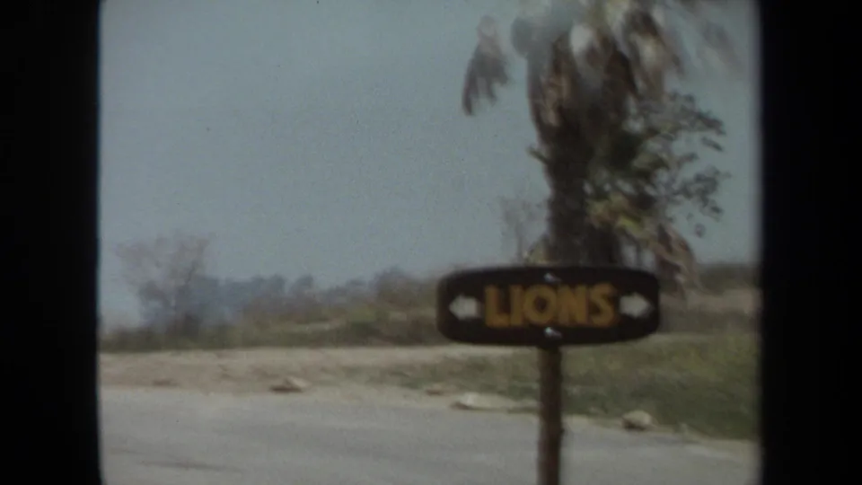 Motion-blurred 8mm frame of a LIONS sign viewed from inside a moving car at a Laguna Hills safari park.