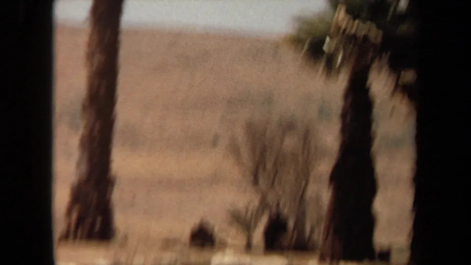 Soft 1971 Laguna Hills 8mm frame viewed through a vehicle window toward palms and shaded large cats.