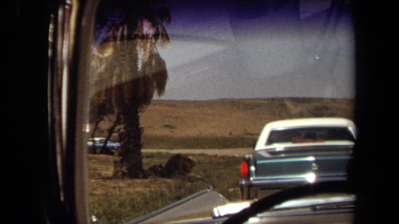 1971 Laguna Hills home-movie view from inside a car, with another classic car ahead near palms and a dry enclosure landscape.