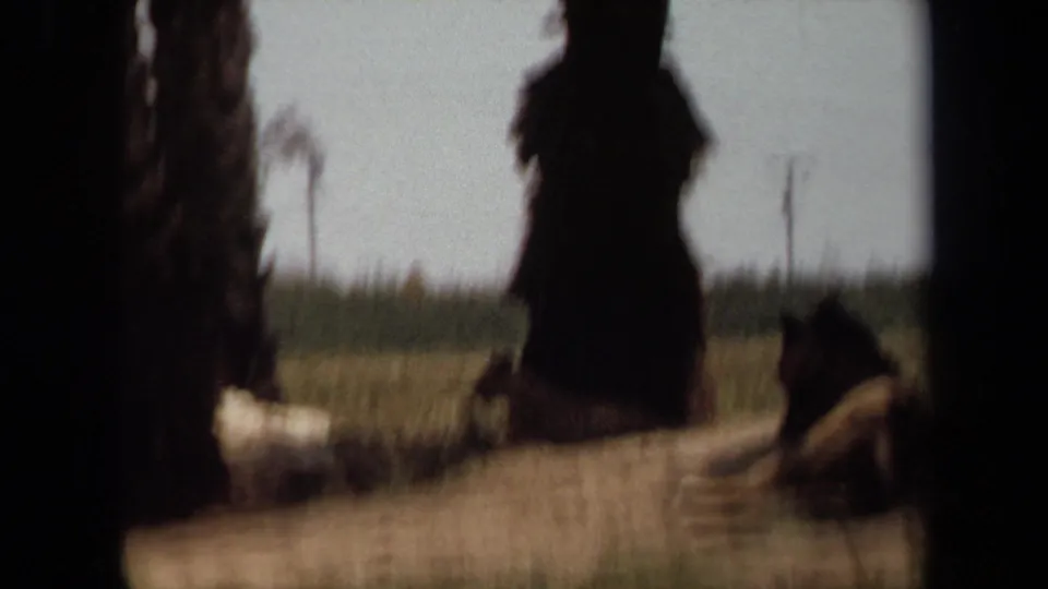 1971 Laguna Hills footage shows lions lying in a grassy roadside enclosure, partially obscured by the vehicle window frame.