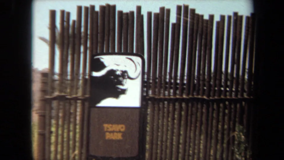 Laguna Hills wildlife preserve signage with buffalo graphic appears through the dark edge of a car window in 1971 footage.