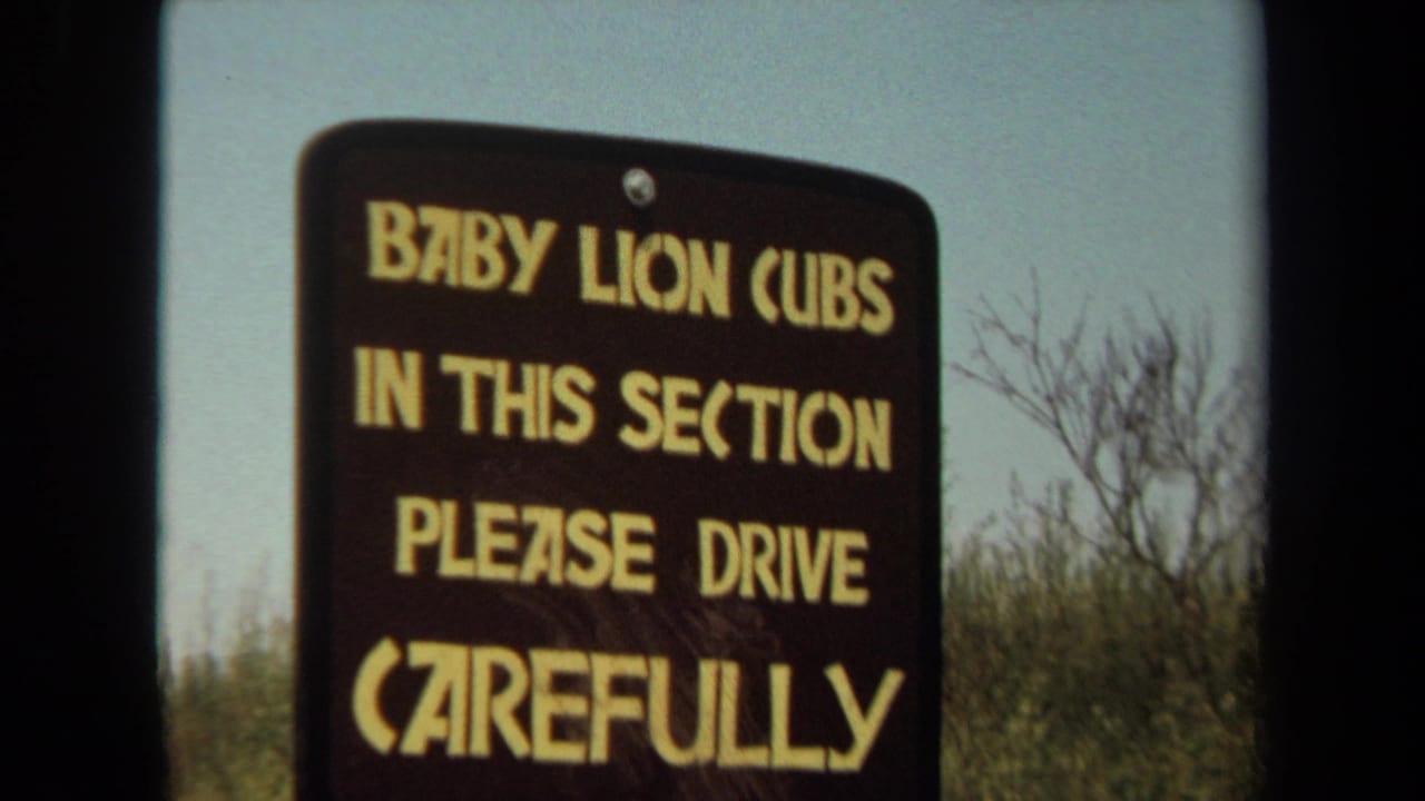 1971 Laguna Hills 8mm frame showing a close roadside sign about baby lion cubs and careful driving, seen through a vehicle window.