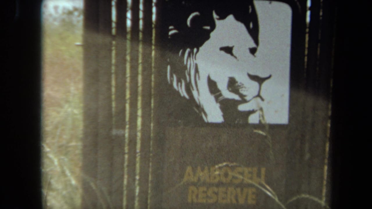 1971 Laguna Hills frame showing the Amboseli Reserve sign and lion silhouette through soft, grainy 8mm exposure.