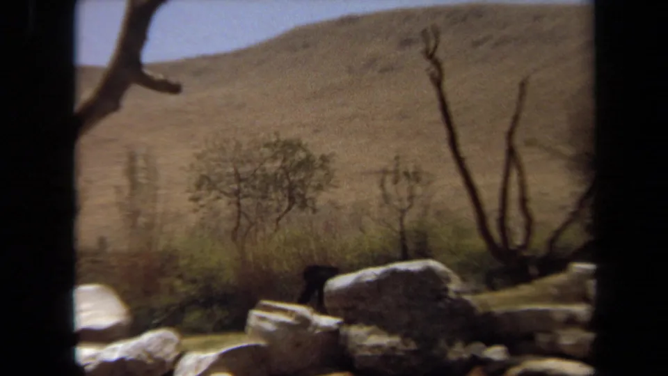 1971 Laguna Hills frame showing a dark animal, possibly a gorilla, partly obscured behind rocks in a sparse enclosure.