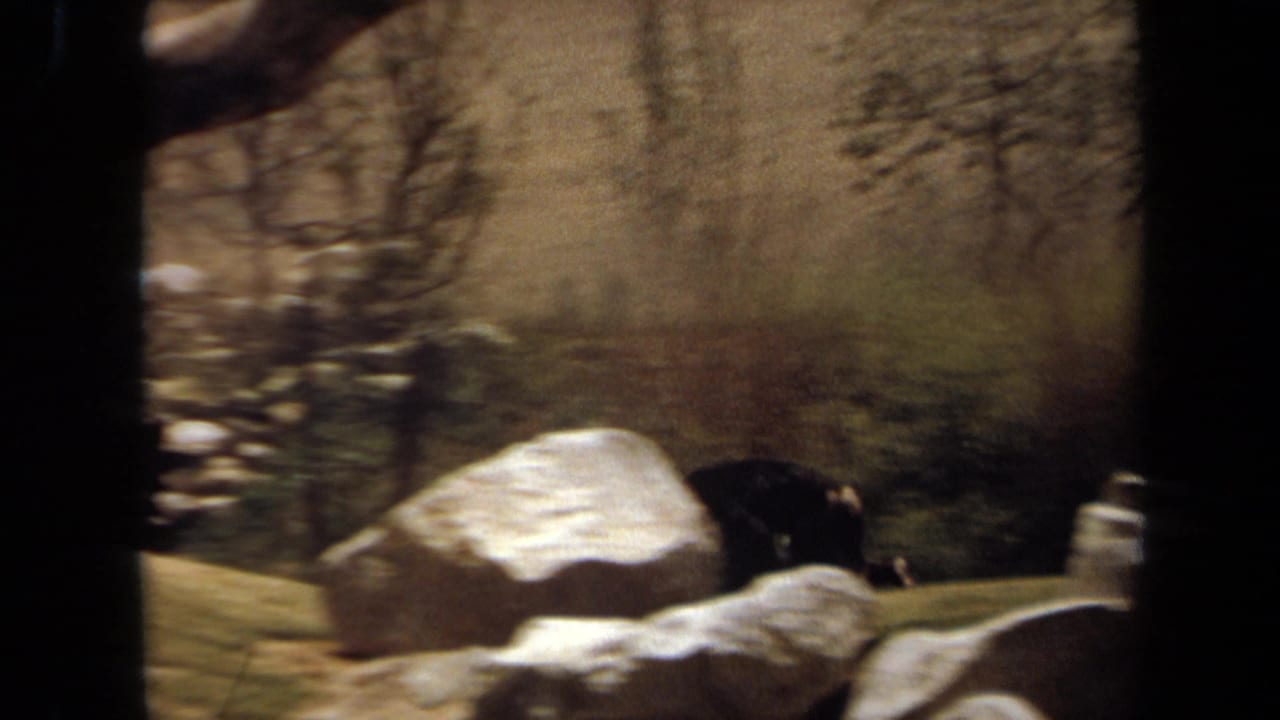 1971 Laguna Hills 8mm frame showing a chimpanzee partly obscured by rocks and viewing-bar shadows in an arid enclosure-like landscape.