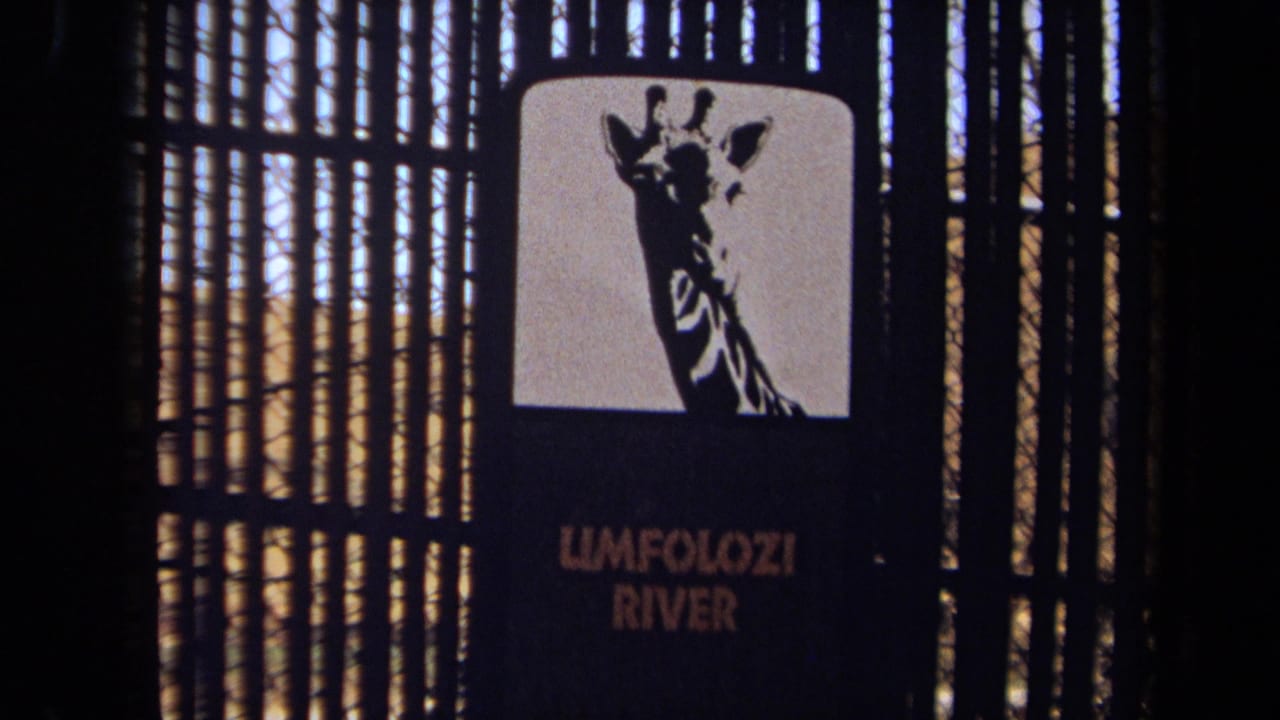 Umfolozi River sign with a giraffe graphic mounted beside vertical fencing.