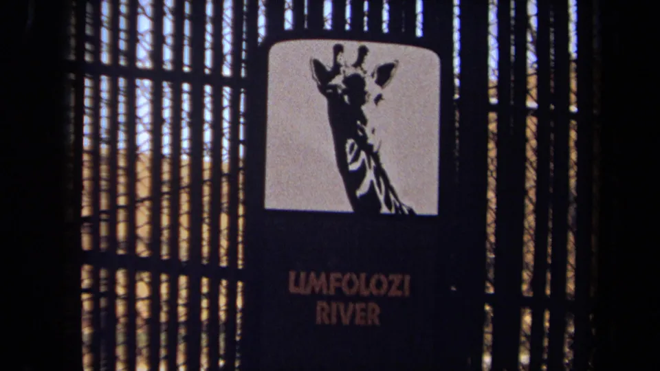 Close view of an Umfolozi River sign with a giraffe graphic, seen through or beside tall gate fencing in 1971 8mm footage.