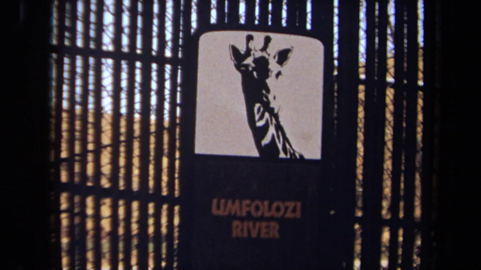 1971 8mm frame showing the Umfolozi River giraffe sign more centrally, with vertical fencing filling the background.