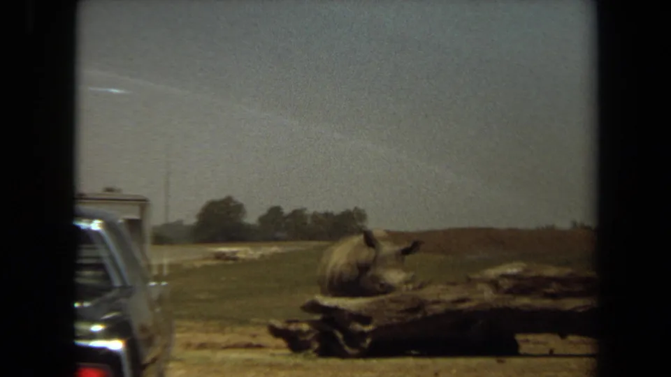 1971 Laguna Hills 8mm frame showing a resting rhinoceros near a large log, with part of a parked car visible at the left edge.