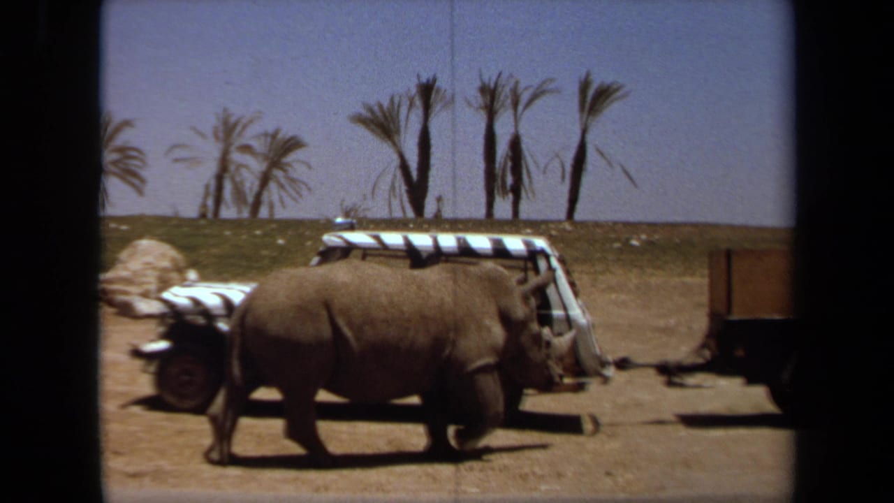 Rhinoceros passing the front of a safari vehicle with a trailer at right.