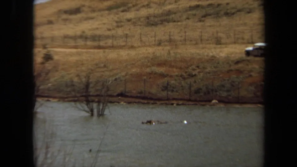 Wide 1971 Laguna Hills view of a pond below a fenced hillside, with a car at right and a hippopotamus partly in the water.