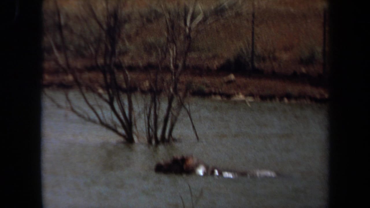 1971 Laguna Hills 8mm frame showing a hippopotamus floating low in pale water near bare trees and a brushy bank.