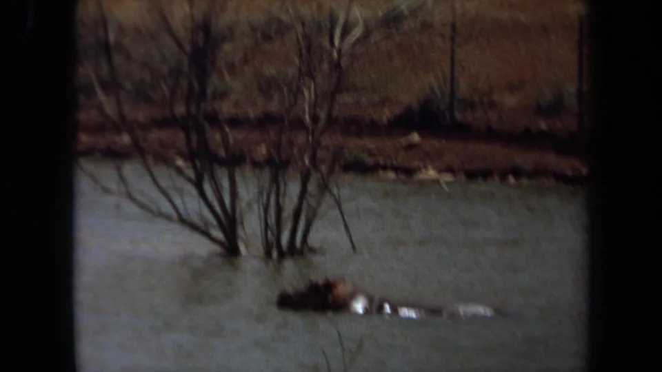 1971 Laguna Hills 8mm frame showing a hippopotamus floating low in pale water near bare trees and a brushy bank.