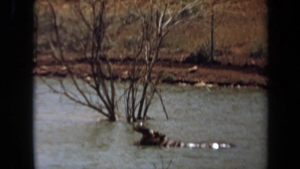 1971 Laguna Hills frame showing the hippo resting low in the water, with leafless trees and a dry bank behind it.