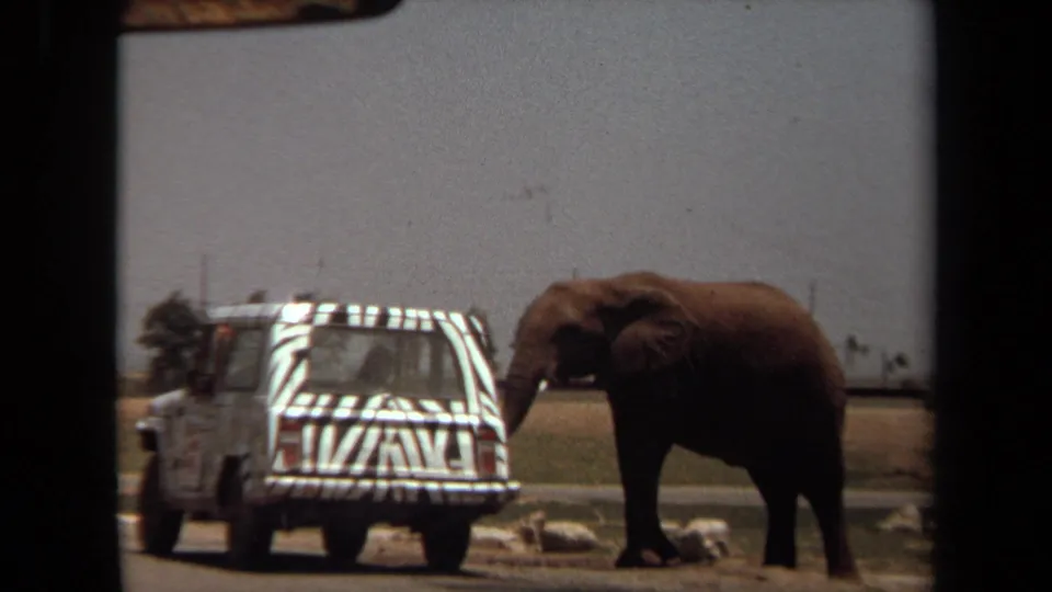 The 1971 home-movie frame shows the rear of a zebra-striped safari vehicle near an elephant, with rocks and dry landscape around them.