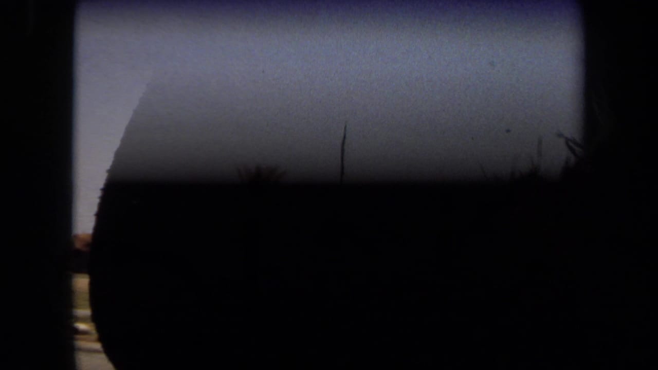 Dark vehicle interior or obstruction with a partial outdoor safari scene beyond it.