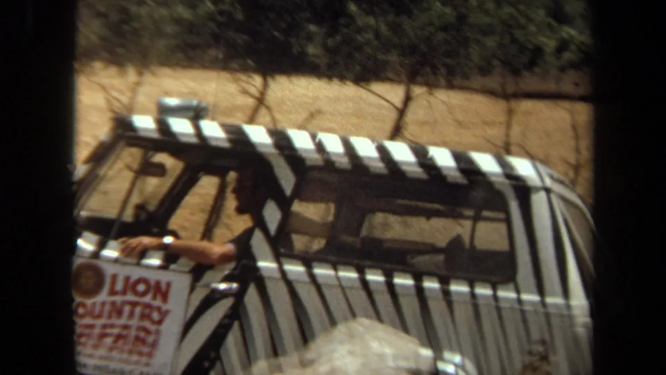 A zebra-striped safari tour vehicle with a visible person inside or leaning from the window appears near dry grass and trees at the Laguna Hills wildlife attraction.