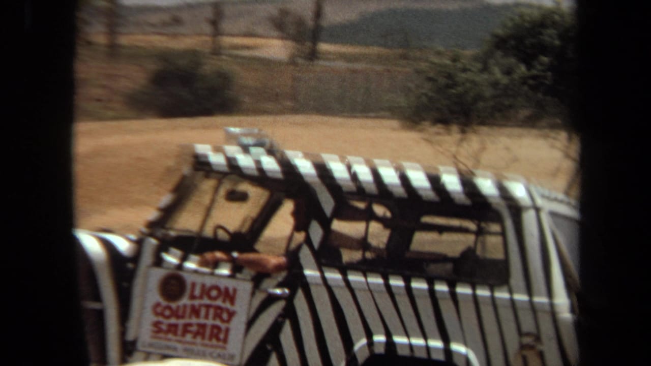 1971 Laguna Hills 8mm frame of a zebra-striped Lion Country Safari Jeep passing through arid park grounds, filmed from inside another vehicle.
