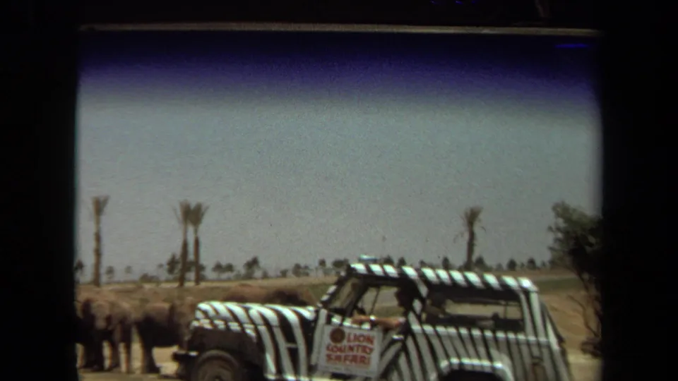 The striped safari Jeep appears beside distant animals and palm-like trees in the Laguna Hills safari-park landscape.