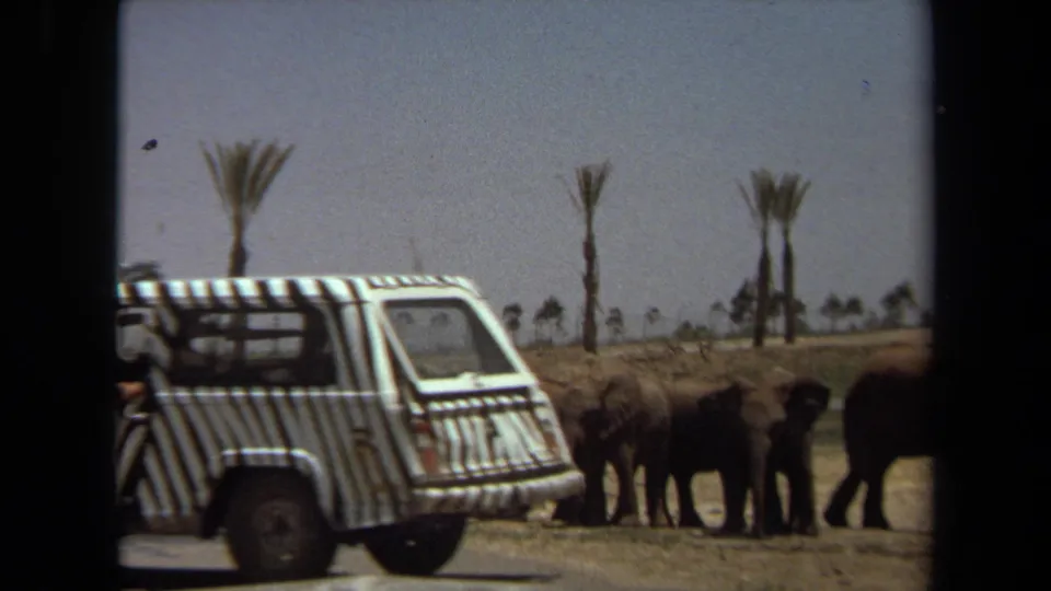 1971 Laguna Hills frame showing a zebra-striped Lion Country Safari vehicle near elephants on dry park grounds.