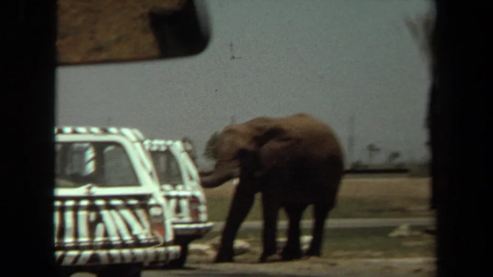 1971 Laguna Hills frame showing an elephant near zebra-striped safari vehicles at the wildlife park.