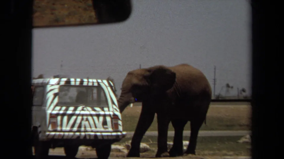 The elephant stands close to the striped vehicle in the Laguna Hills home-movie footage, with utility poles and open grounds behind it.