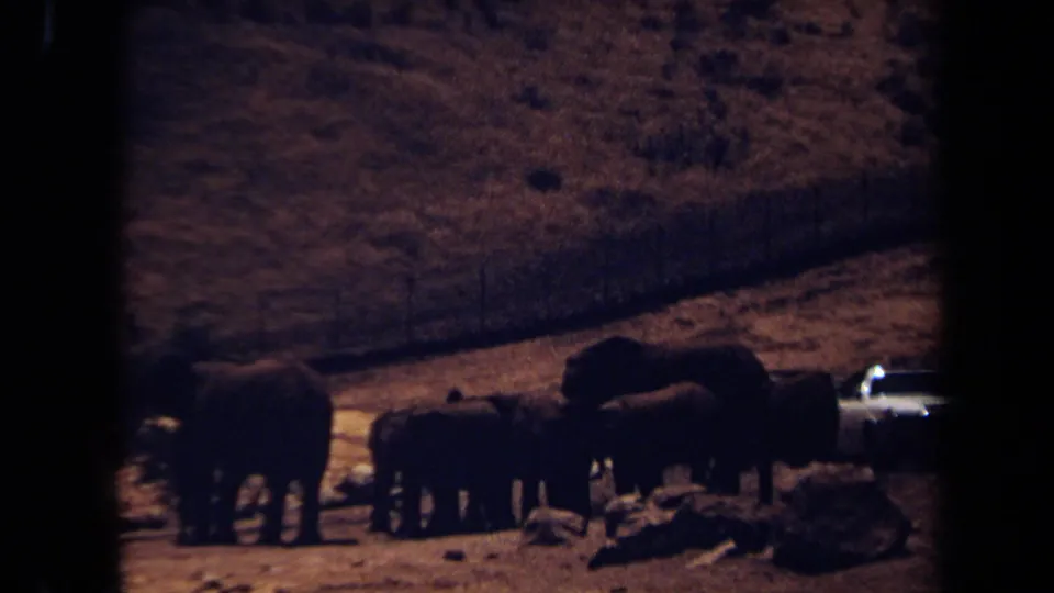 Darker 1971 Laguna Hills frame with elephants silhouetted in fading light near a white car and dry hillside.