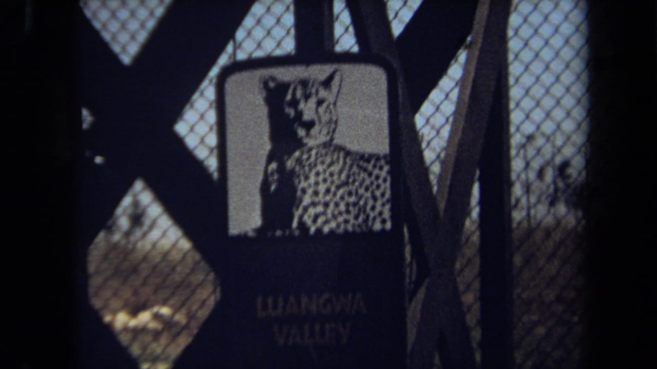 1971 Laguna Hills zoo sign showing a cheetah illustration above Luangwa Valley text, seen through chain-link fencing.